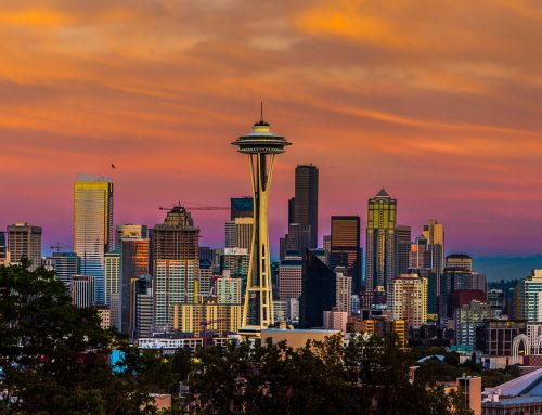 Cities For Climate: The Power of Influencer Engagement